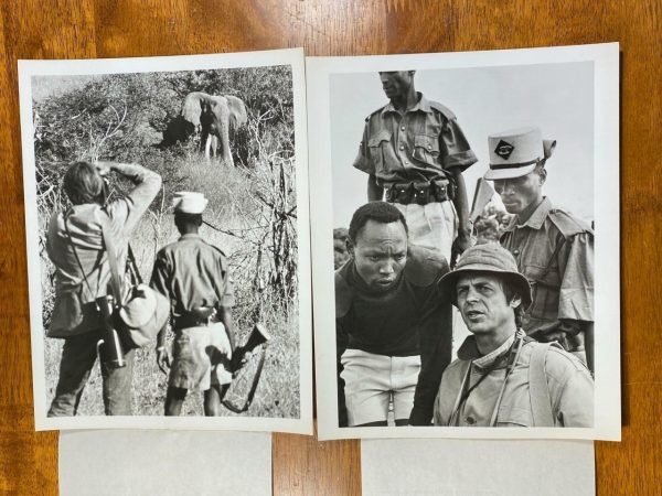 2 George Plimpton! Adventure In Africa Elephant Original ABC TV Photo Lot A173